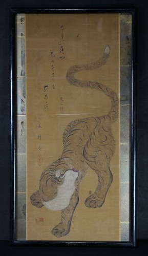Antico quadro gatto - , tigre