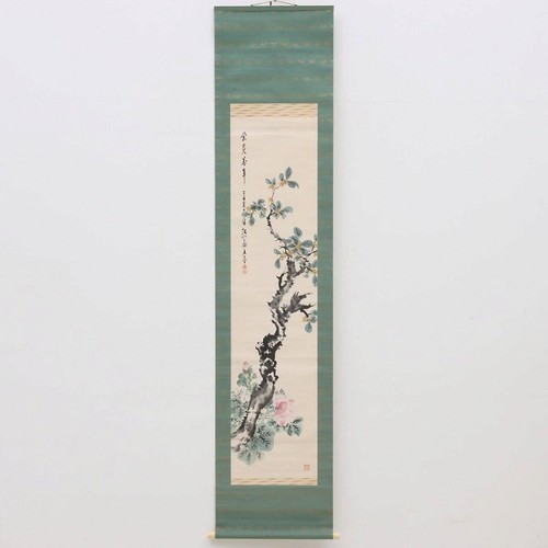 Autentico mitsui hanzan albero - autentico,